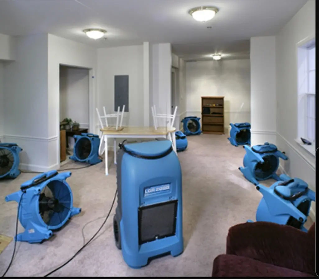 Air movers and dehumidifier setup for Water Extraction & Removal in Barnesville